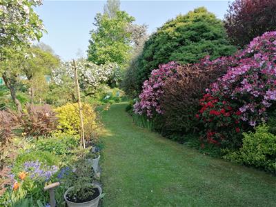 Picture 54